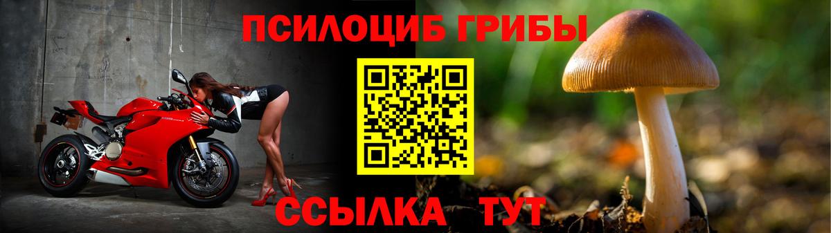 Галлюциногенные грибы мухоморы Симферополь